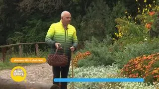 Kartoflowy zawrót głowy