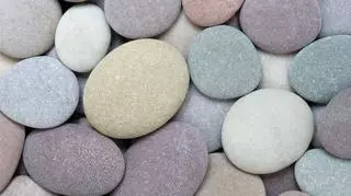 Kamienie zamiast zwierząt