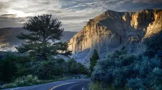 Ciekawostki o parku Yellowstone. Co warto tam zobaczyć?
