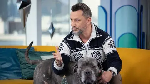 Wszystko o Cane Corso. Czy to pies dla każdego?