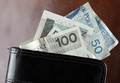Młodzi Polacy zadłużają się na potęgę. 20-latka ma do spłacenia prawie 800 tys. zł