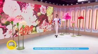 Kubańczyk, który pokochał Radom 