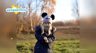 Pogodni TVN