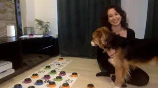 Salto - kundelek, który potrafi mówić