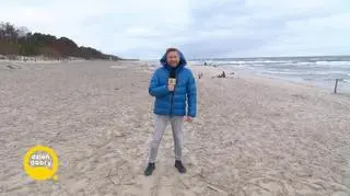 Mam bzika na punkcie śledzika