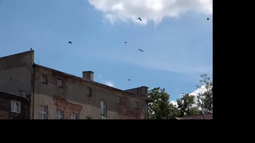 Uwaga! TVN: 16-latka oskarżyła o gwałt własną matkę