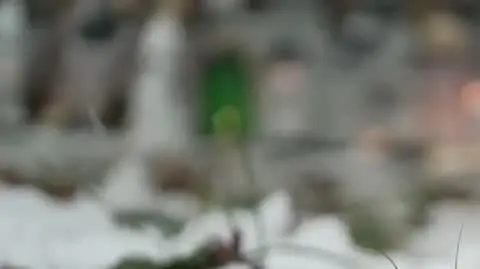 Uwaga! TVN