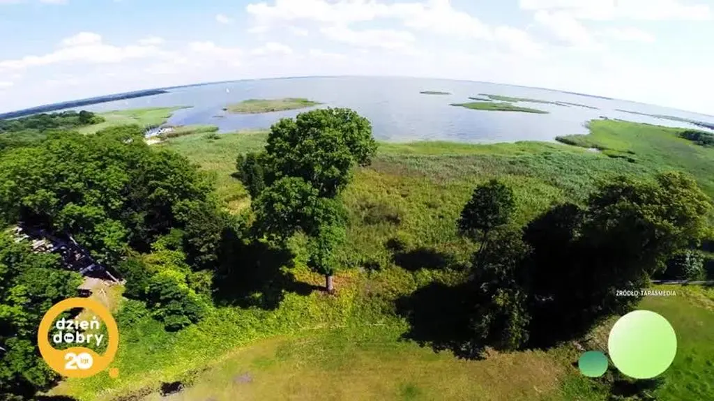 DD_20251007_Koniki_rep_napisy