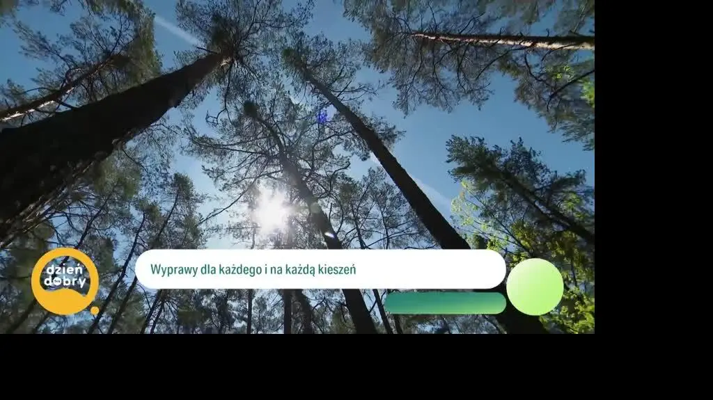 DD_20250827_Mikrowyprawy_napisy