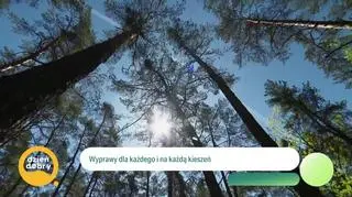 Mikrowyprawy – wielkie przygody w jeden dzień - napisy