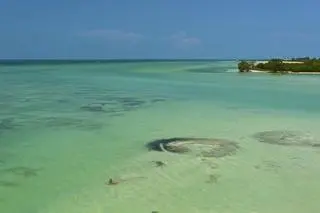  Isla Pasion, Meksyk
