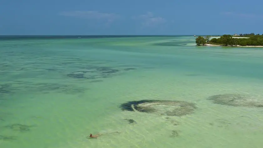  Isla Pasion, Meksyk