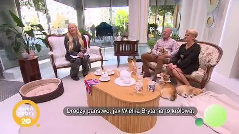 DD_20250926_Psy_napisy