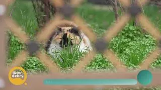 Sara Chont pokazała nam Bukareszt swoim okiem