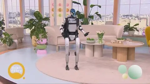 robot
