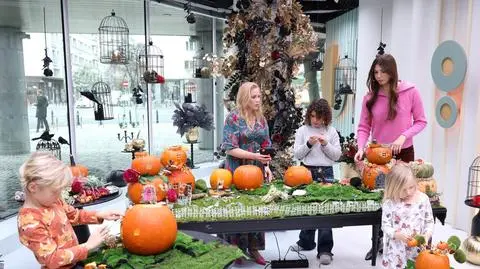 Jak zrobić dyniowy domek dla wróżki? "To jest hit"