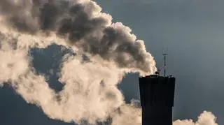 Mieszkańcy tych miast są narażeni na "mgłę mózgową". GIOŚ podał dane 