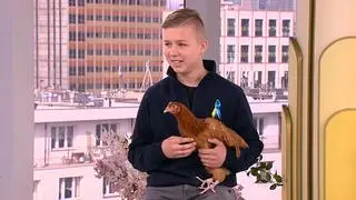12 latek z miłością do kur