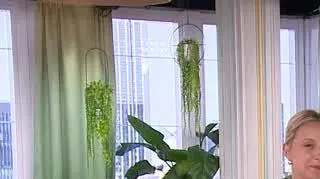 Łapią komary i badają ich wirusy