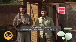 Z pasji do kur – napisy