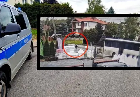 11-latka wybiegła na ulicę zza autobusu. Moment potrącenia widać na nagraniu