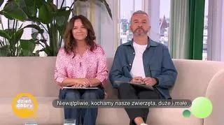 Pies na dwa domy – to możliwe? - napisy