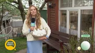 Wielkanocna prognoza pogody prosto z Jajkowa