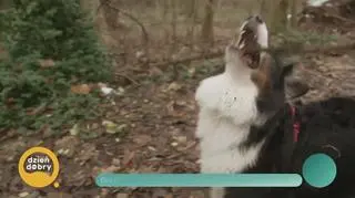 Ewa Drzyzga - prawdziwa twarz dziennikarstwa - napisy (ok)