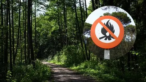 Czy lasy będą zamknięte w majówkę?