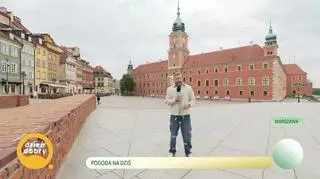 W poszukiwaniu zaczarowanych ogrodów 