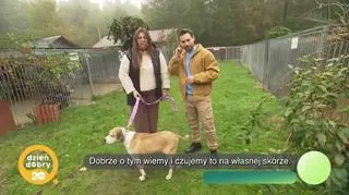 Jak możemy pomóc psom w schronisku jesienią i zimą (napisy)