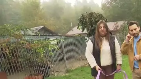 DD_20251015_Pieski_napisy