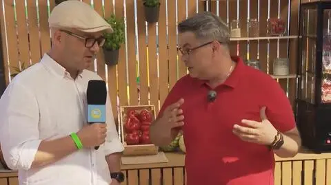Sokołów na grilla 