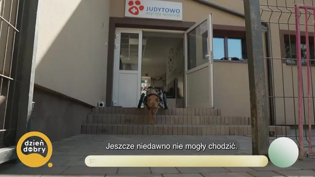 Klatka kluczowa-414845