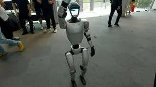 Chińskie roboty rozwożą paczki, witają gości i pilnują posesji. "Technologia cały czas się rozwija"