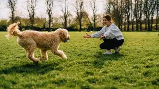 Jak nauczyć psa aportować? Praktyczne porady i wskazówki