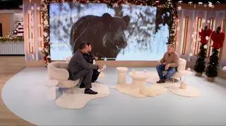 Śnieg atrakcją nie tylko dla ludzi. Jak zwierzęta cieszą się z zimy?