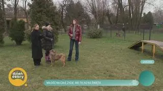 Miłość na całe życie, nie tylko na święta