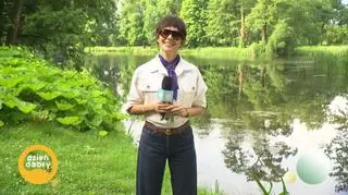 Pogoda z romantycznego parku 