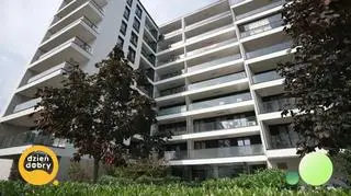 Mieszkanie dopasowane do sztuki