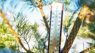 Prognoza na 16 dni. Prawdziwie wiosenna aura w grudniu