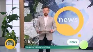 Najważniejsze newsy w DDTVN
