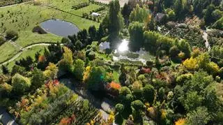 Zielony gen rodziny Szmitów. Ich rośliny znajdziecie w ogrodach w całej Europie 