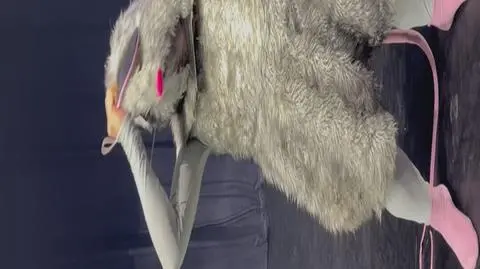 Klatka kluczowa-106103