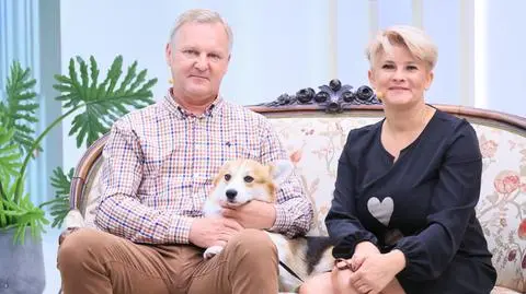 Jak Wielka Brytania, to królewskie corgi 