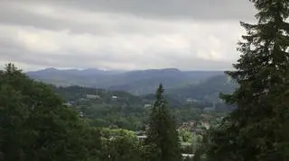 75-latek odnaleziony martwy. Wyszedł na grzyby i nie wrócił