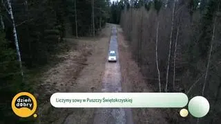 Jak wygląda nocne liczenie sów? (napisy)
