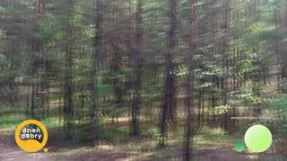 Łuczniczka, która potrafi zaklinać konie (napisy)