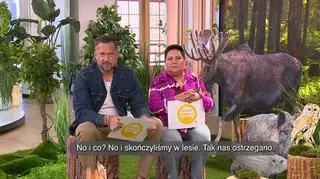 Leśny savoir-vivre (napisy)