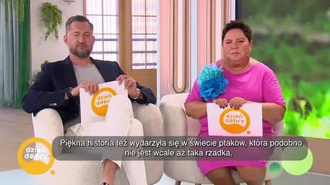 DD_20240919_Ptaki_REP_napisy